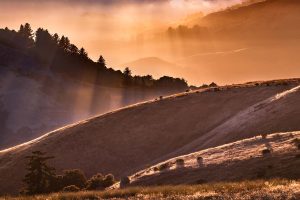 Soft hillside.